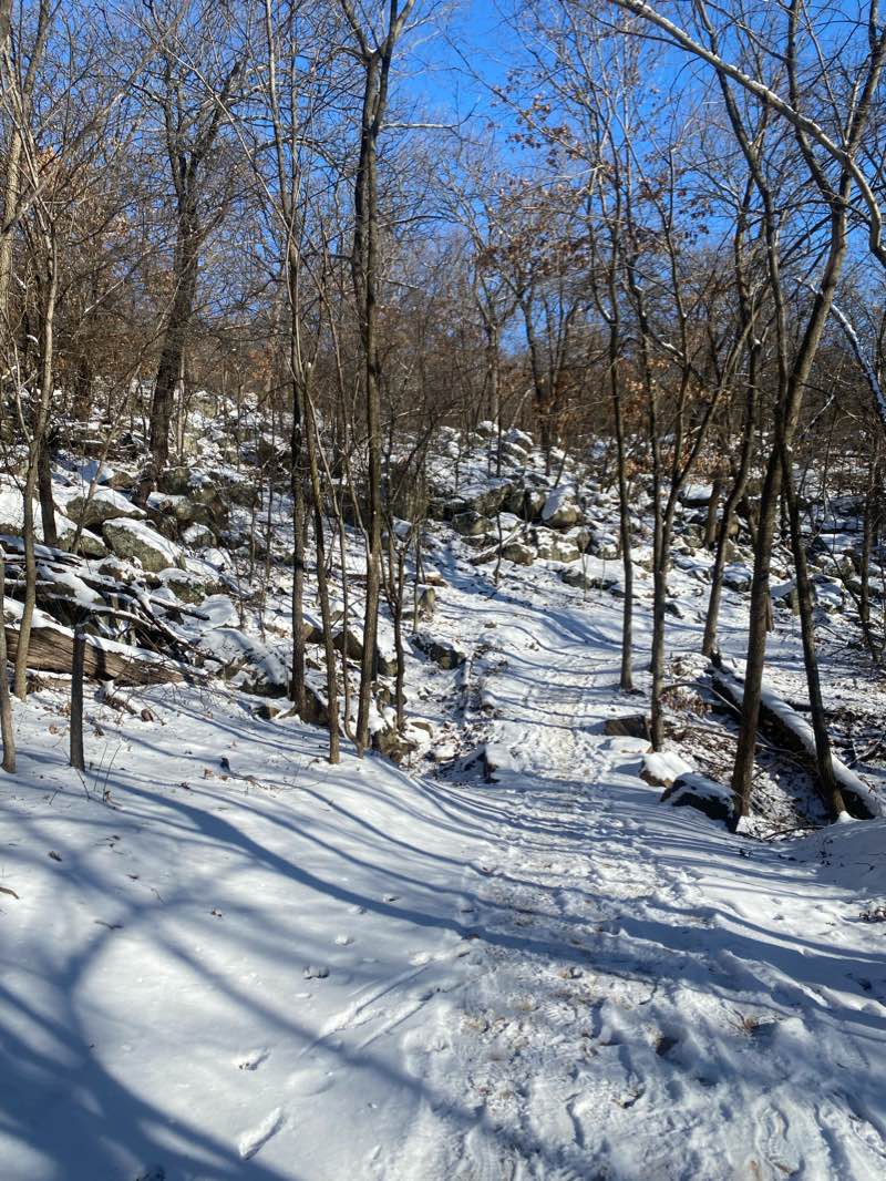 walking near me in Turkey Mountain Urban Wilderness Area in winter