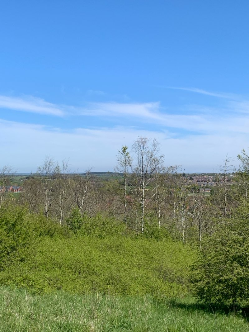 walking near me in Brierley Forest Park in spring