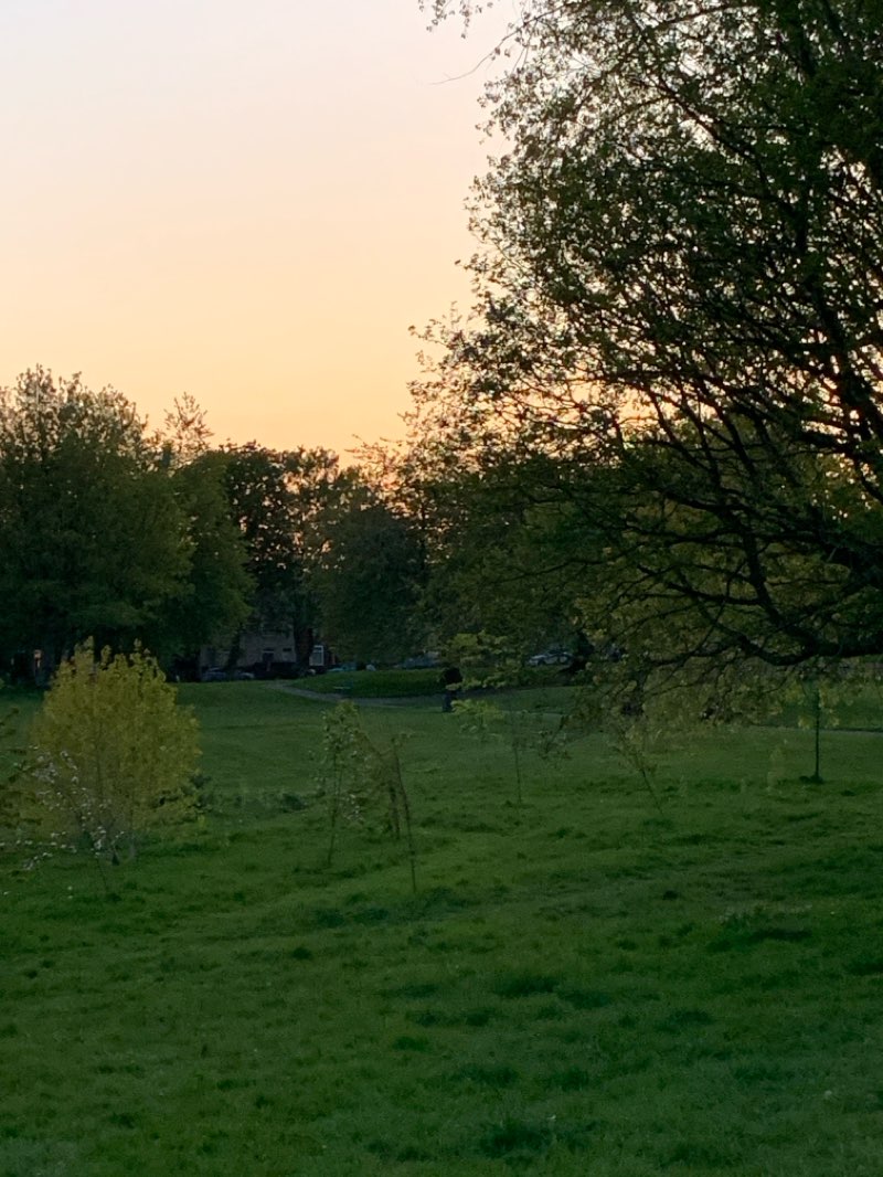 walking near me in Tibshelf Ponds in spring