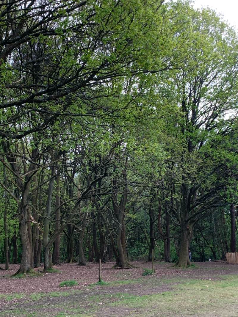 walking near me in Berry Hill Park in spring