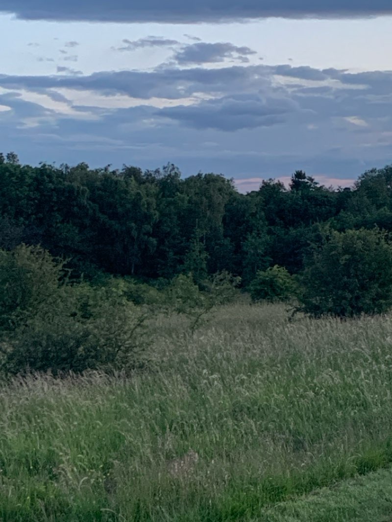 walking near me in Rookery Park in summer