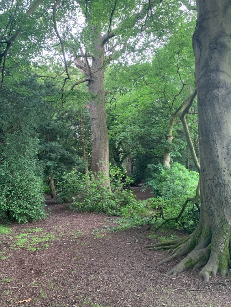 walking near me in Alfreton Park in summer