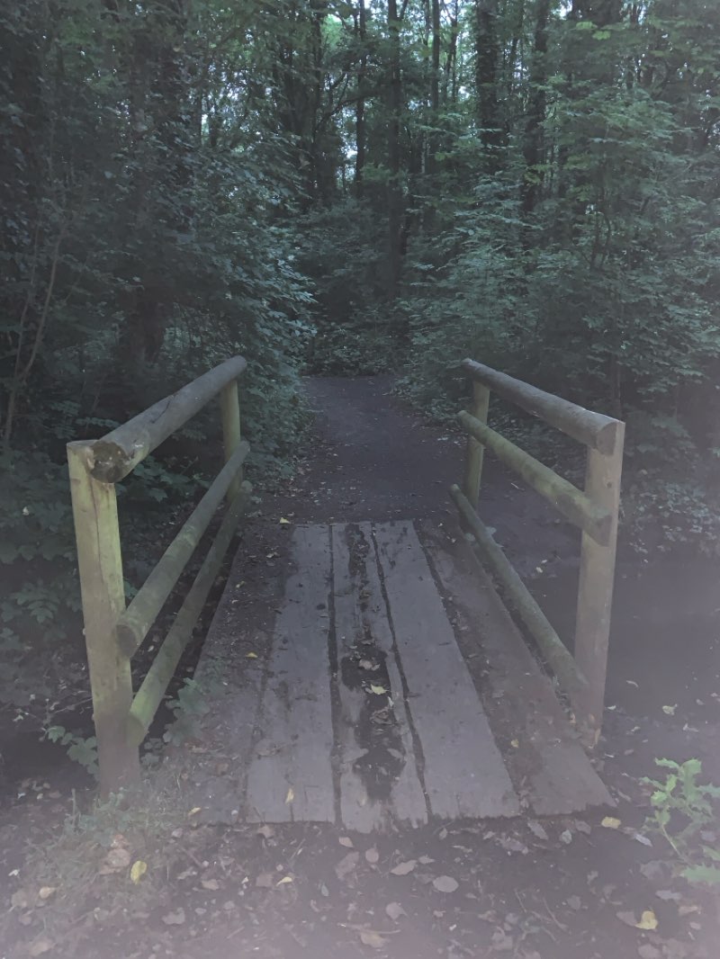 walking near me in Tibshelf Ponds in summer