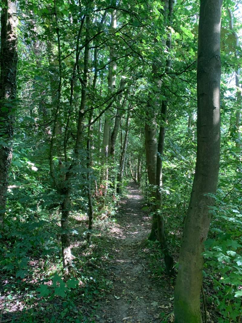 walking near me in Morton Recreation Ground in summer