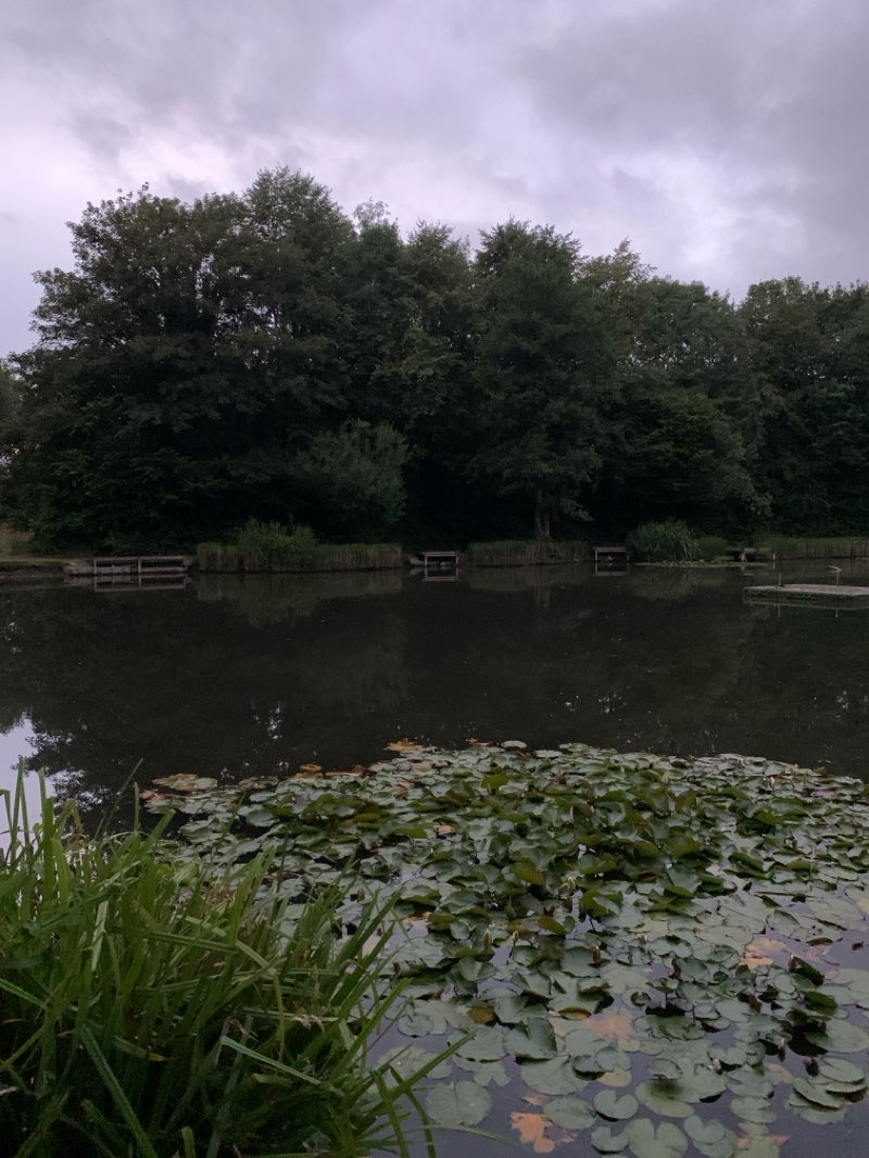 walking near me in Tibshelf Ponds in summer