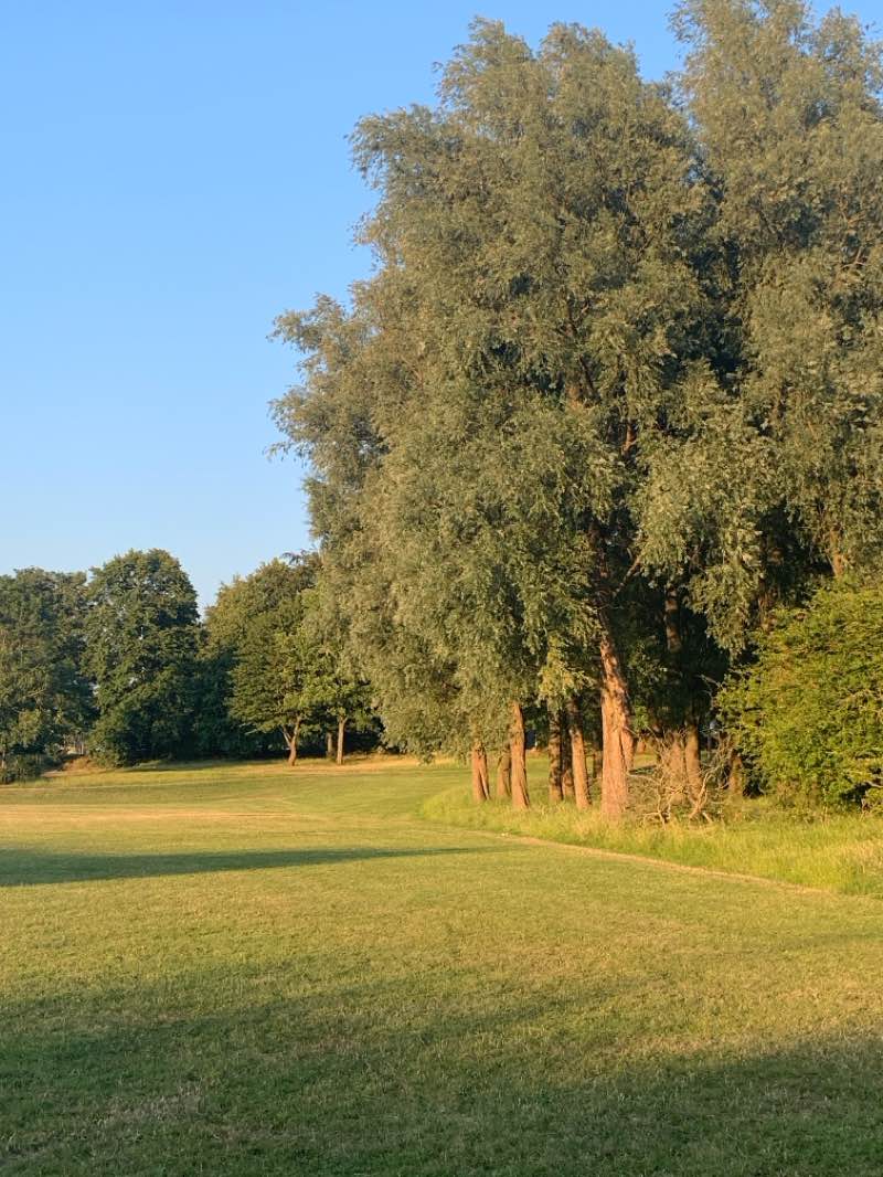 walking near me in Stoneyford Road Recreation Ground in summer