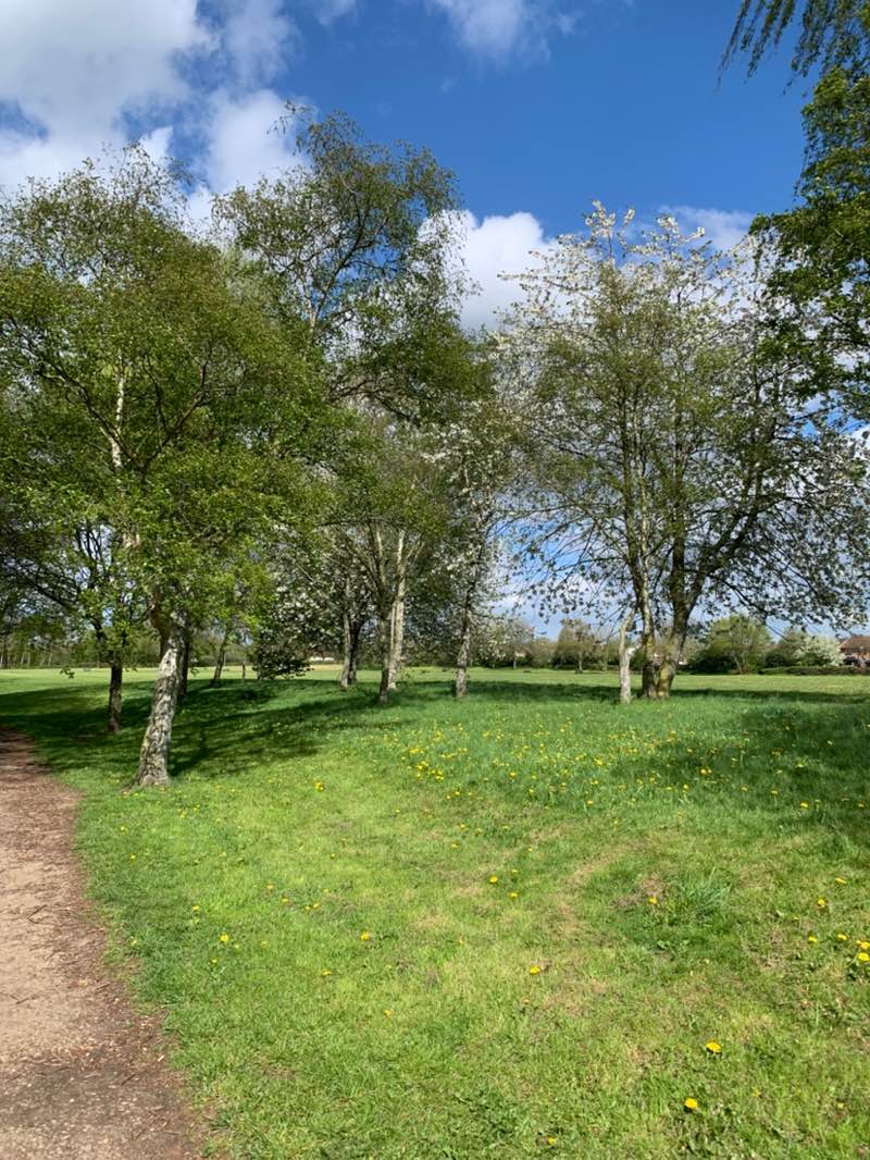 walking near me in Manor Park in spring
