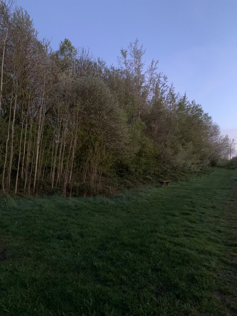 walking near me in Rookery Park in spring