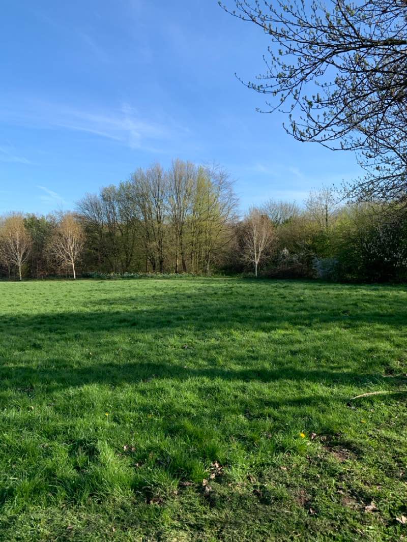 walking near me in Peafield Park in spring