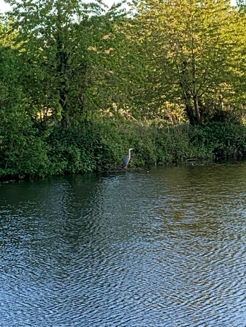 walking near me in The Carrs in spring