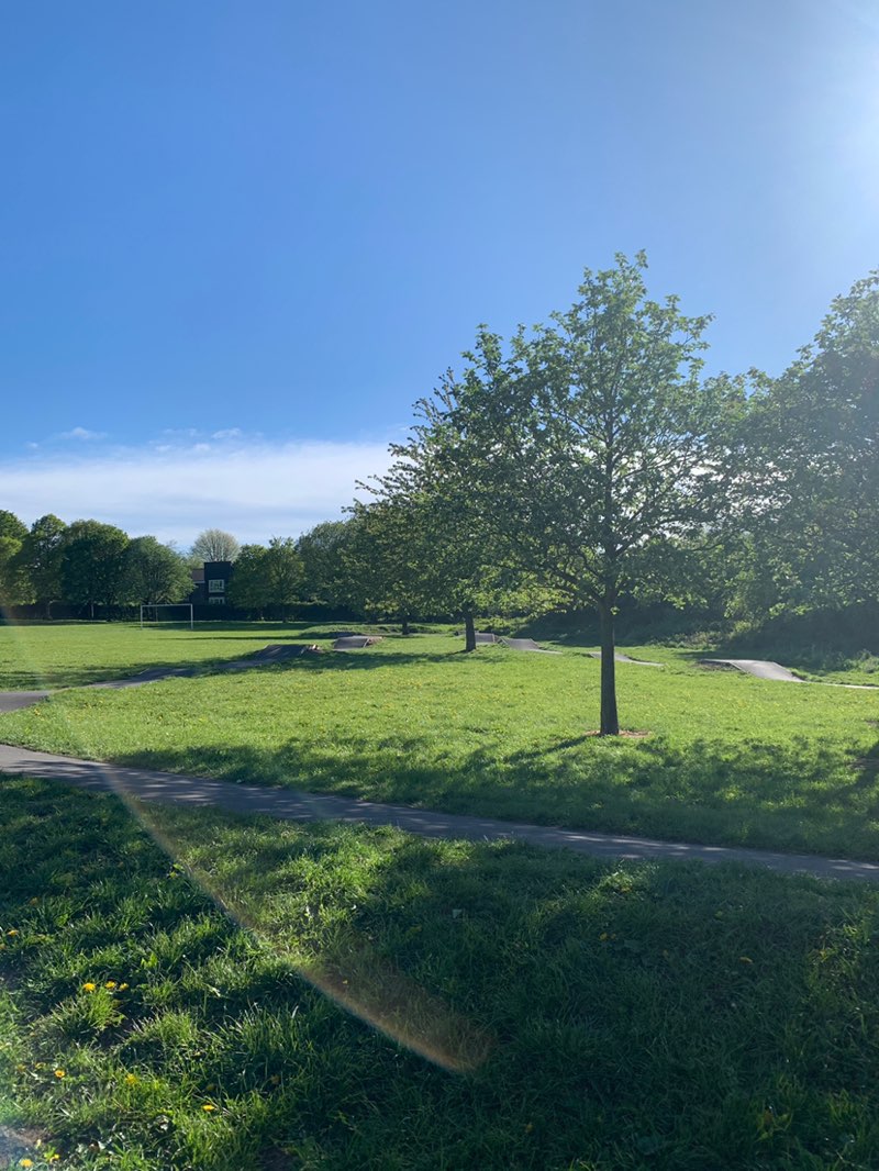 walking near me in Cricks Park in spring