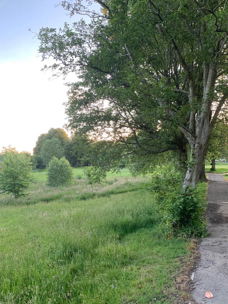walking near me in Welfare Park in summer