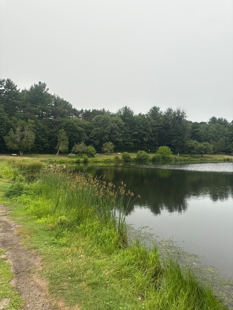 walking near me in Dean Park in summer
