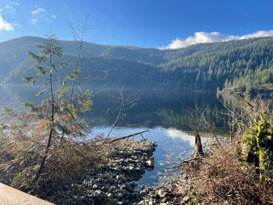 walking near me in Noons Creek Park in winter