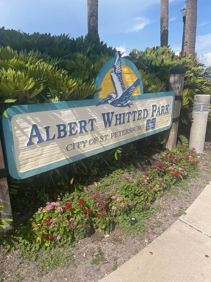 walking near me in Albert Whitted Park in summer