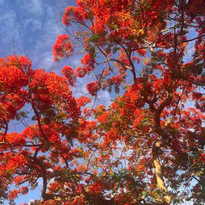 Mary 〽️🏝️☀️🌊🌻 post 1