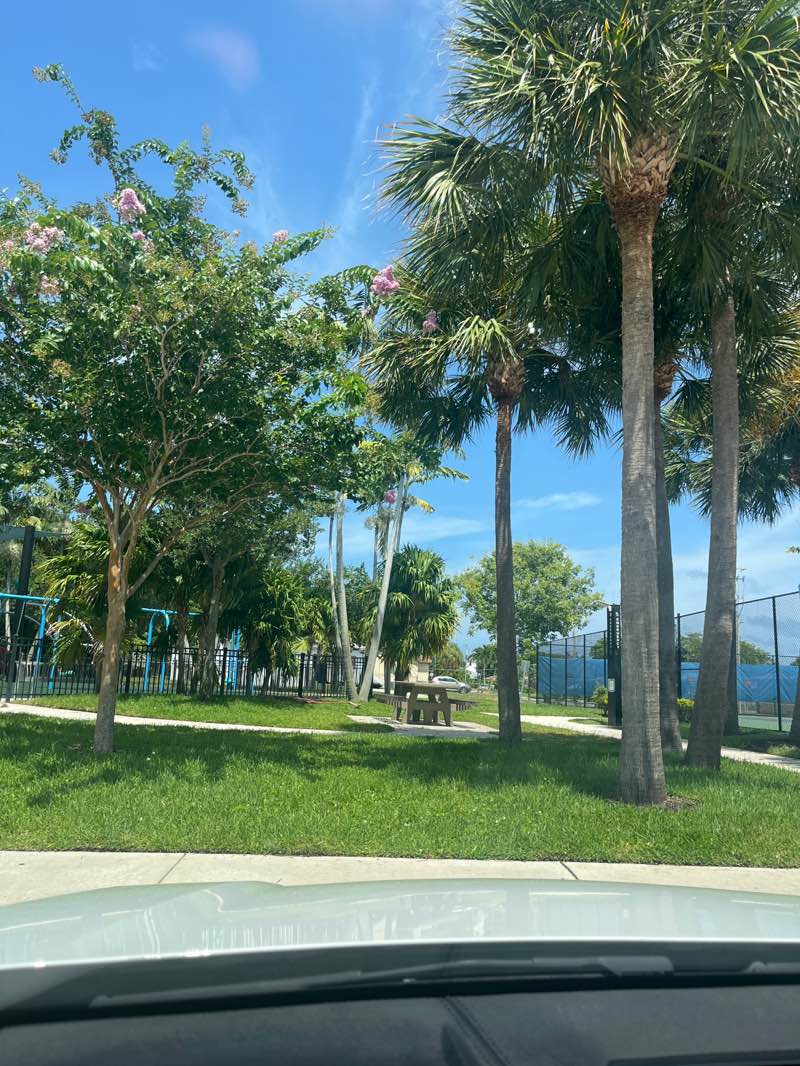 walking near me in OB Johnson Park in summer