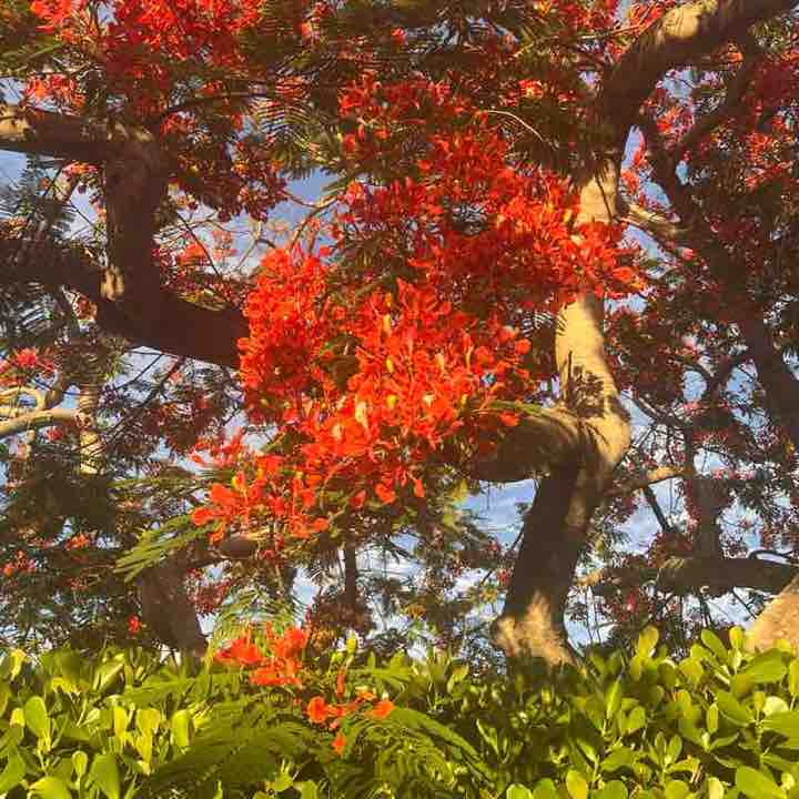 Mary 〽️🏝️☀️🌊🌻 post 1