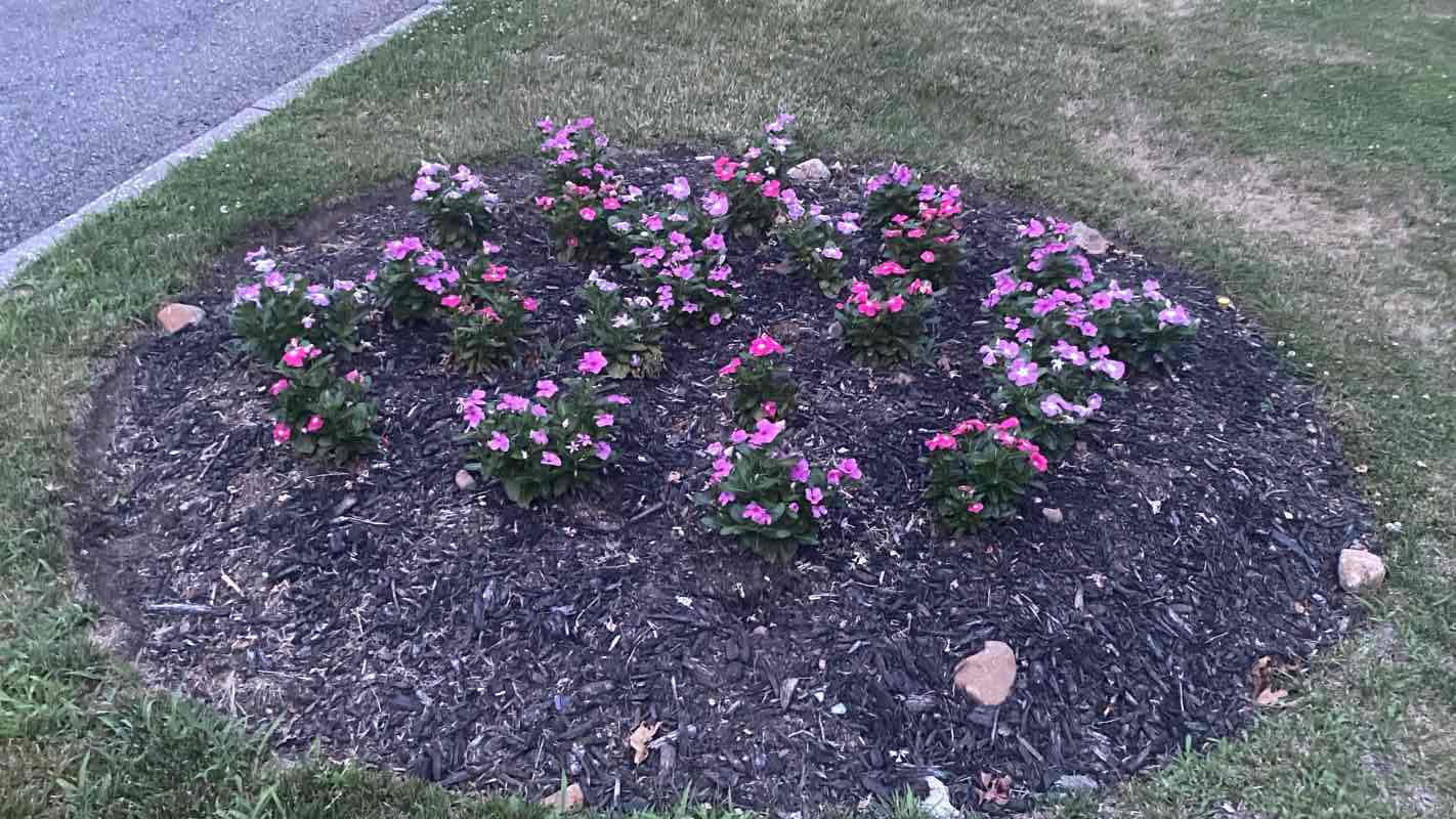 walking near me in Littell People’s Park in summer
