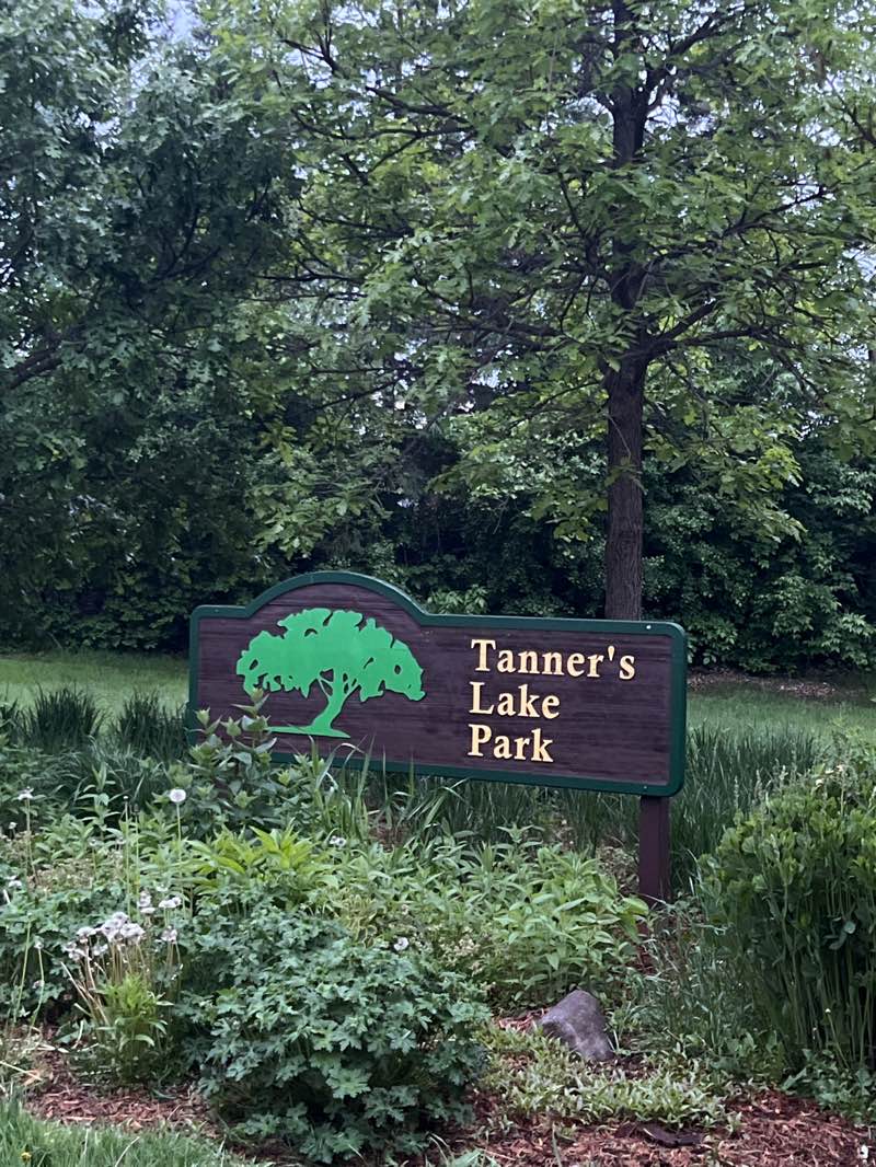 walking near me in Tanners Lake Park in spring