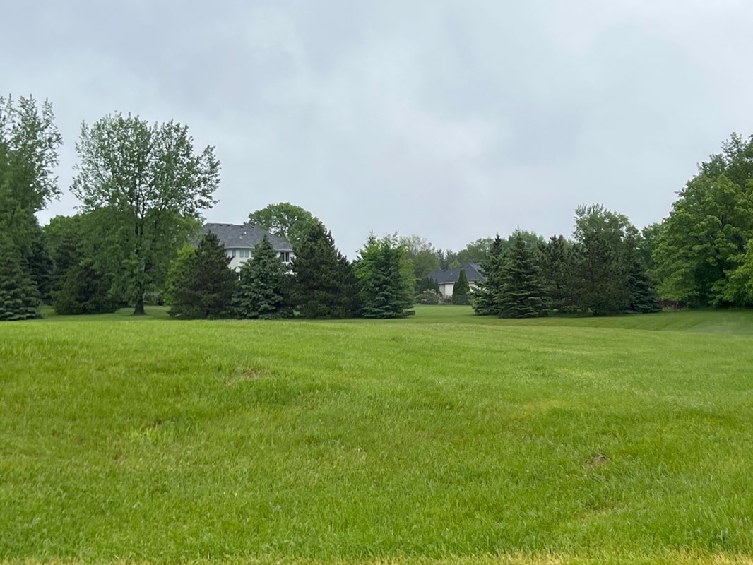 walking near me in Stonegate Park in spring