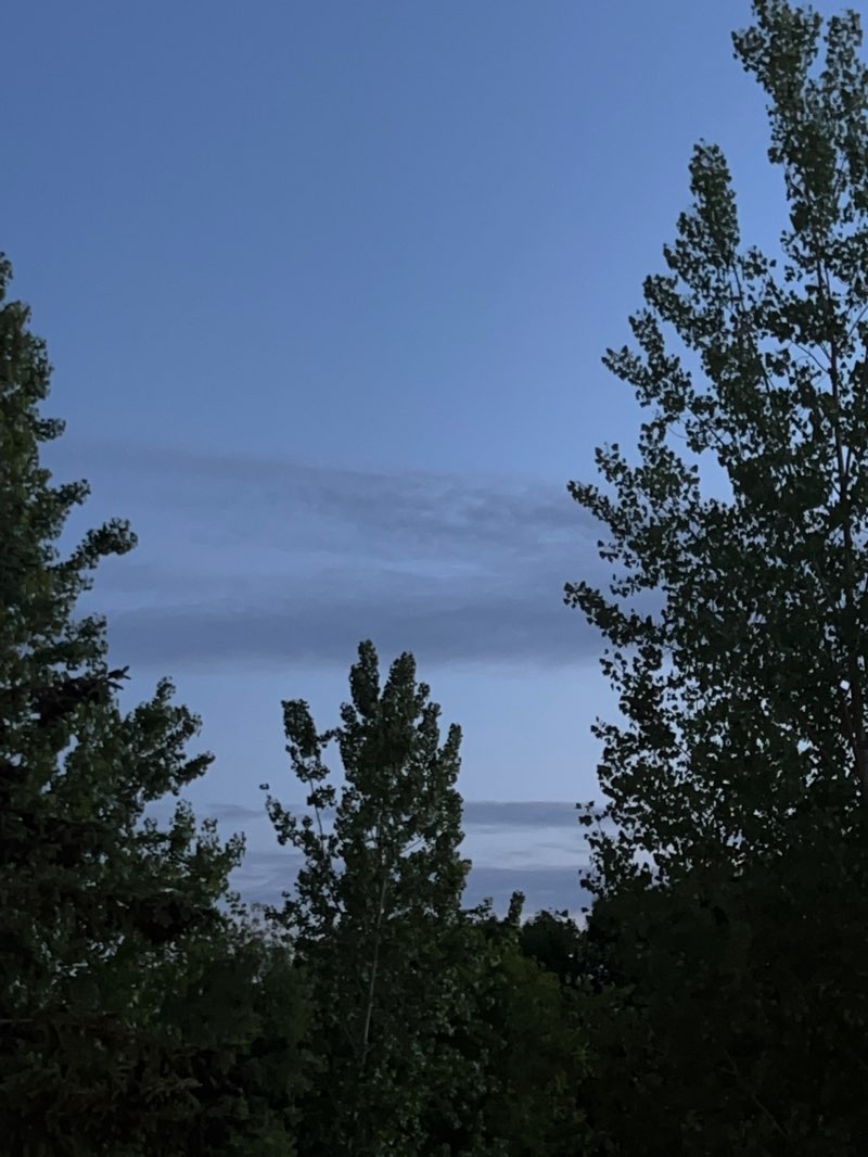 walking near me in Pondview Park in spring