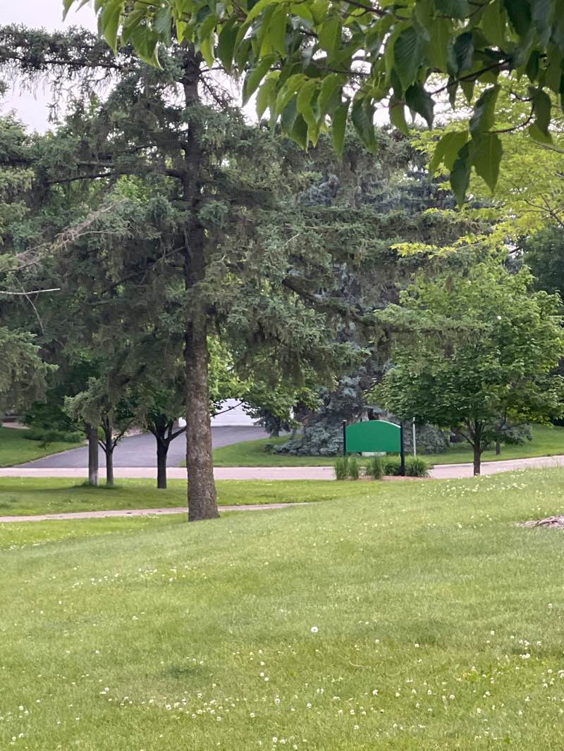 walking near me in Wedgewood Park in summer