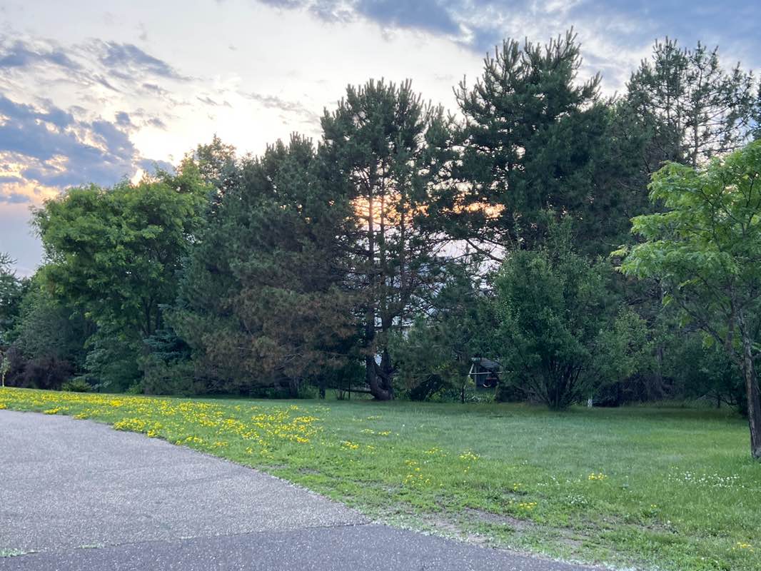 walking near me in Lakeview Knolls Park in summer