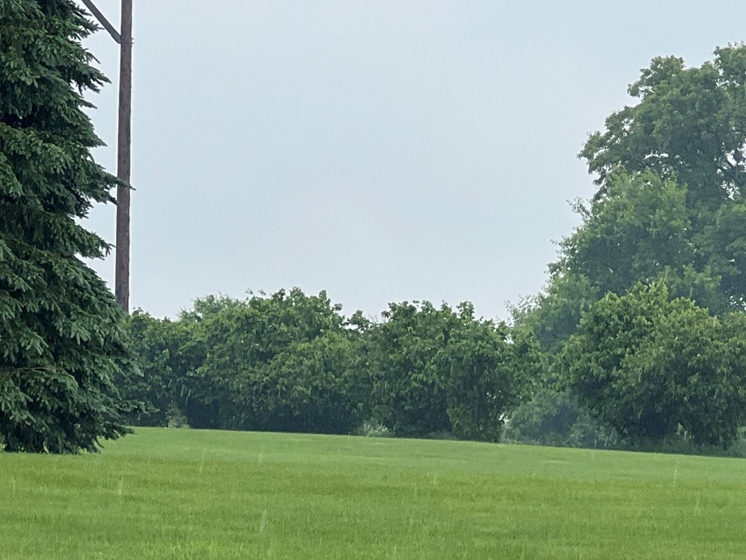 walking near me in Heights Park in summer