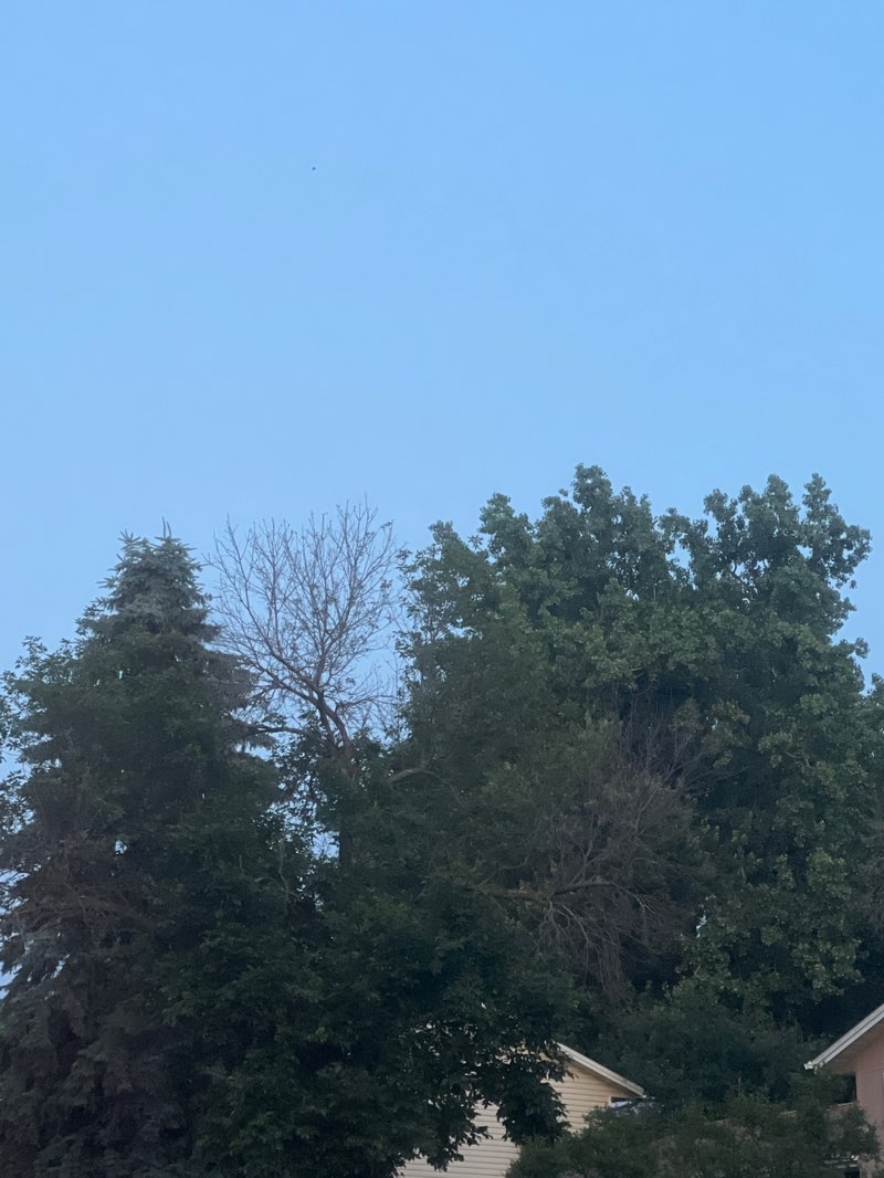 walking near me in Bethke Park in summer