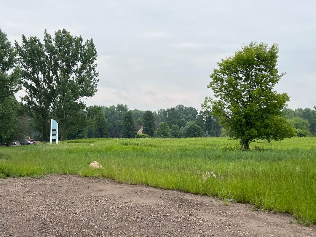 walking near me in Ridge Park in summer