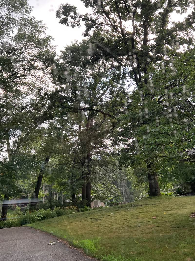 walking near me in Legion Avenue Park in summer