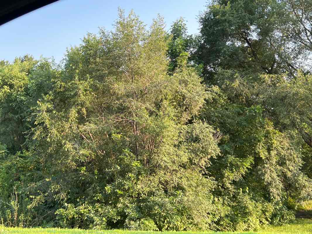 walking near me in Foothill Park in autumn