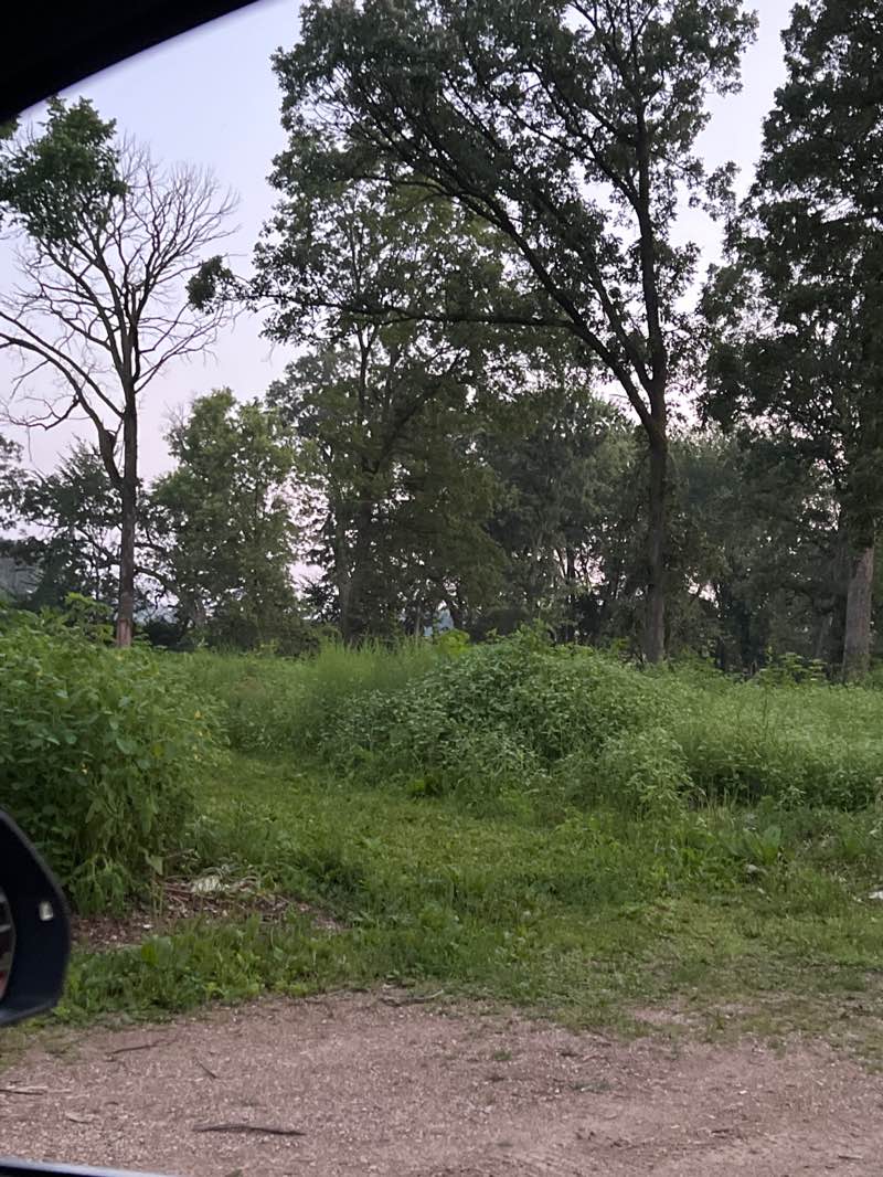 walking near me in Prairie Ridge Park in autumn
