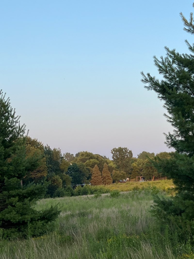 walking near me in Homestead Park in summer