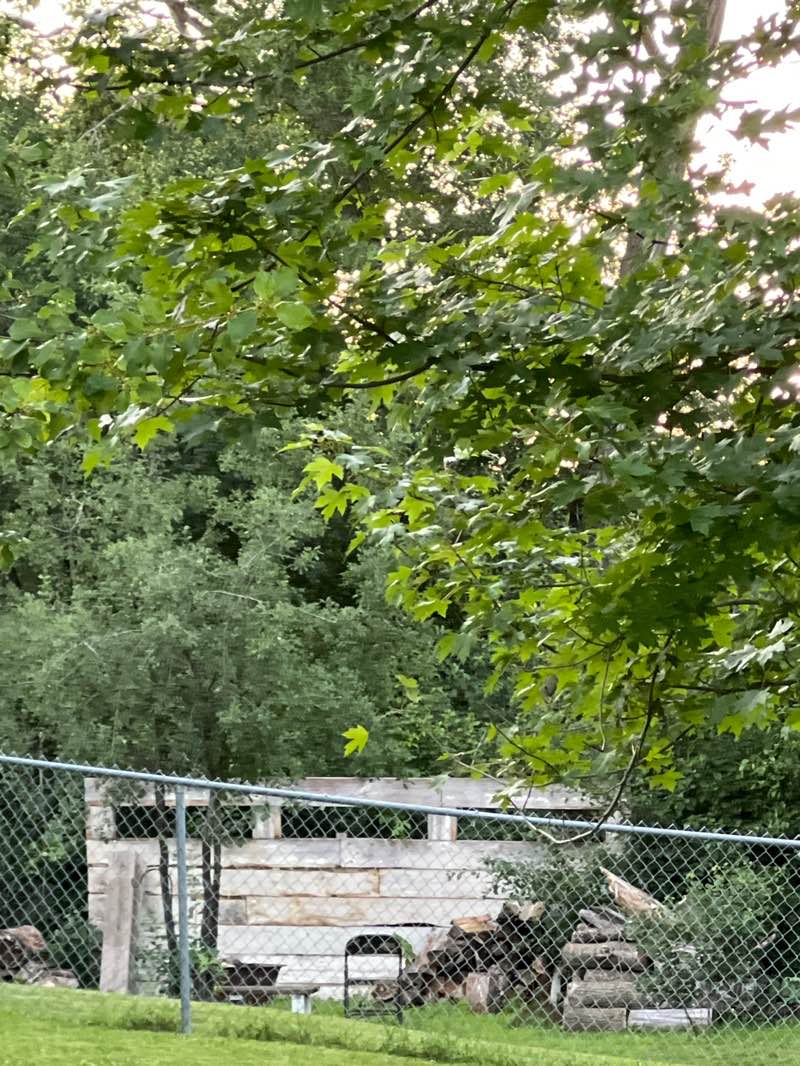 walking near me in Armstrong Park in summer