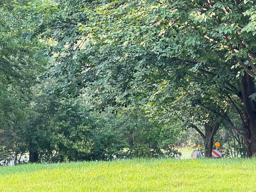 walking near me in Fox Run Park in autumn