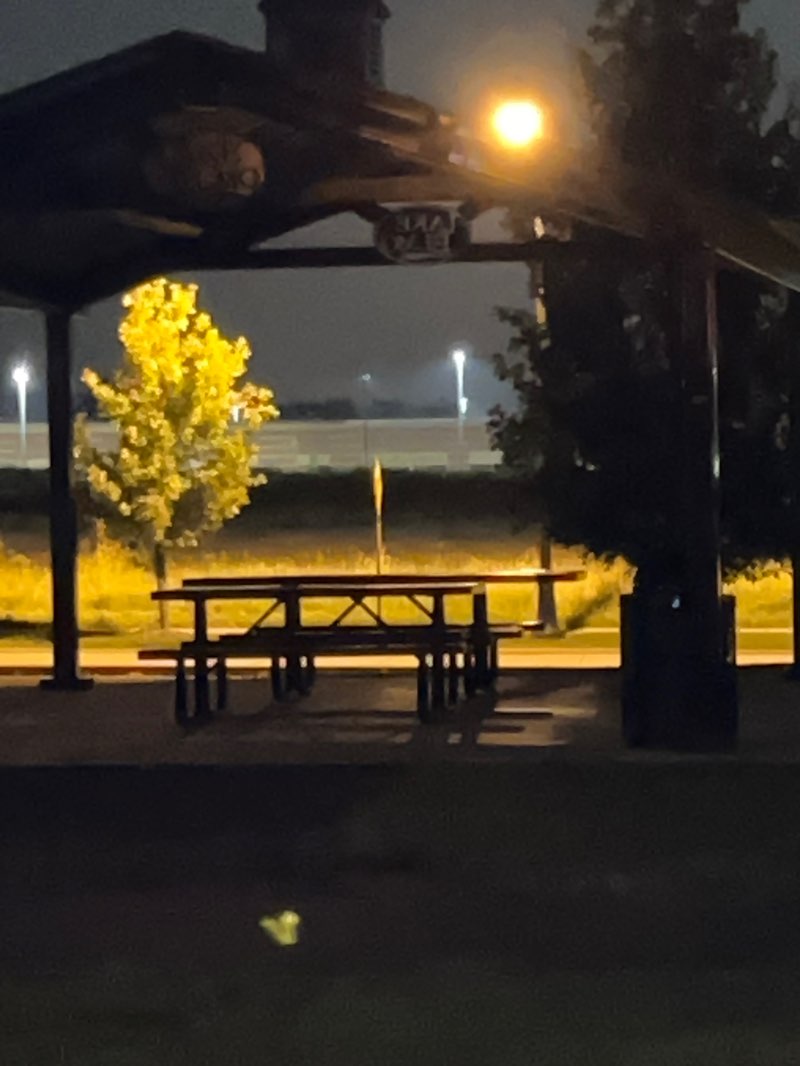 walking near me in Ivywood Park in autumn