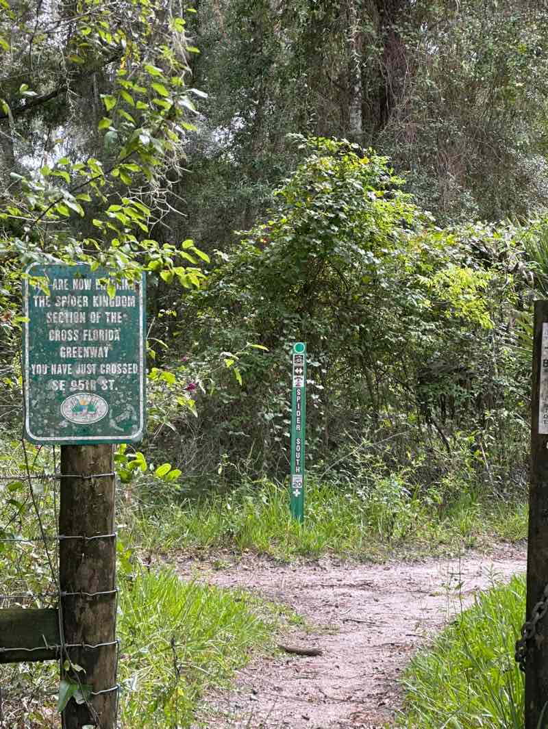walking near me in Santos Tract in autumn