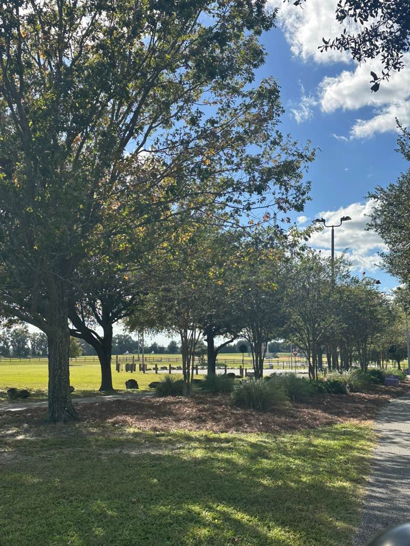walking near me in Ocala Regional Sportsplex in autumn