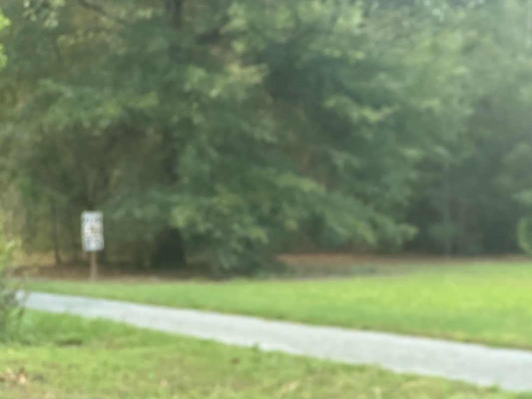 walking near me in Liberty Community Park in autumn