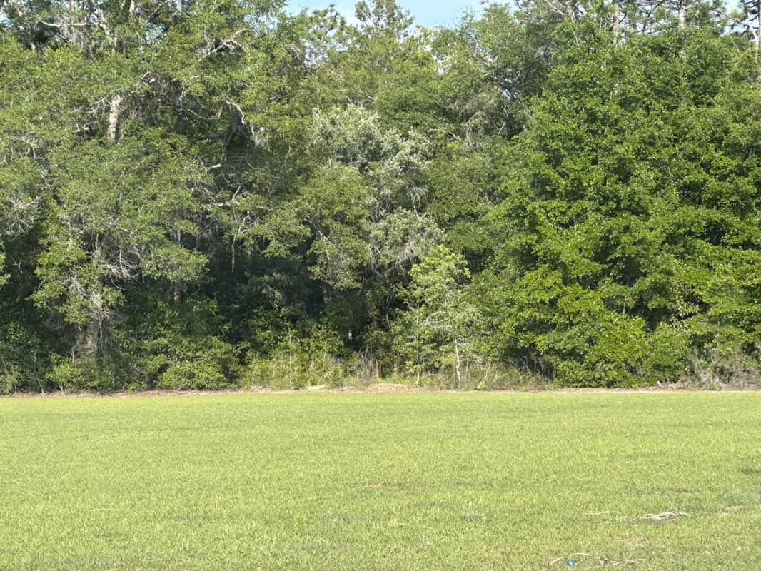 walking near me in Liberty Community Park in spring