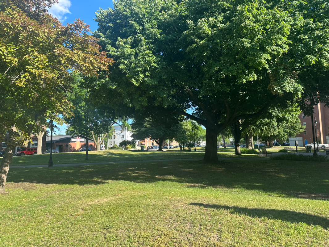 walking near me in Kalivas Park in summer