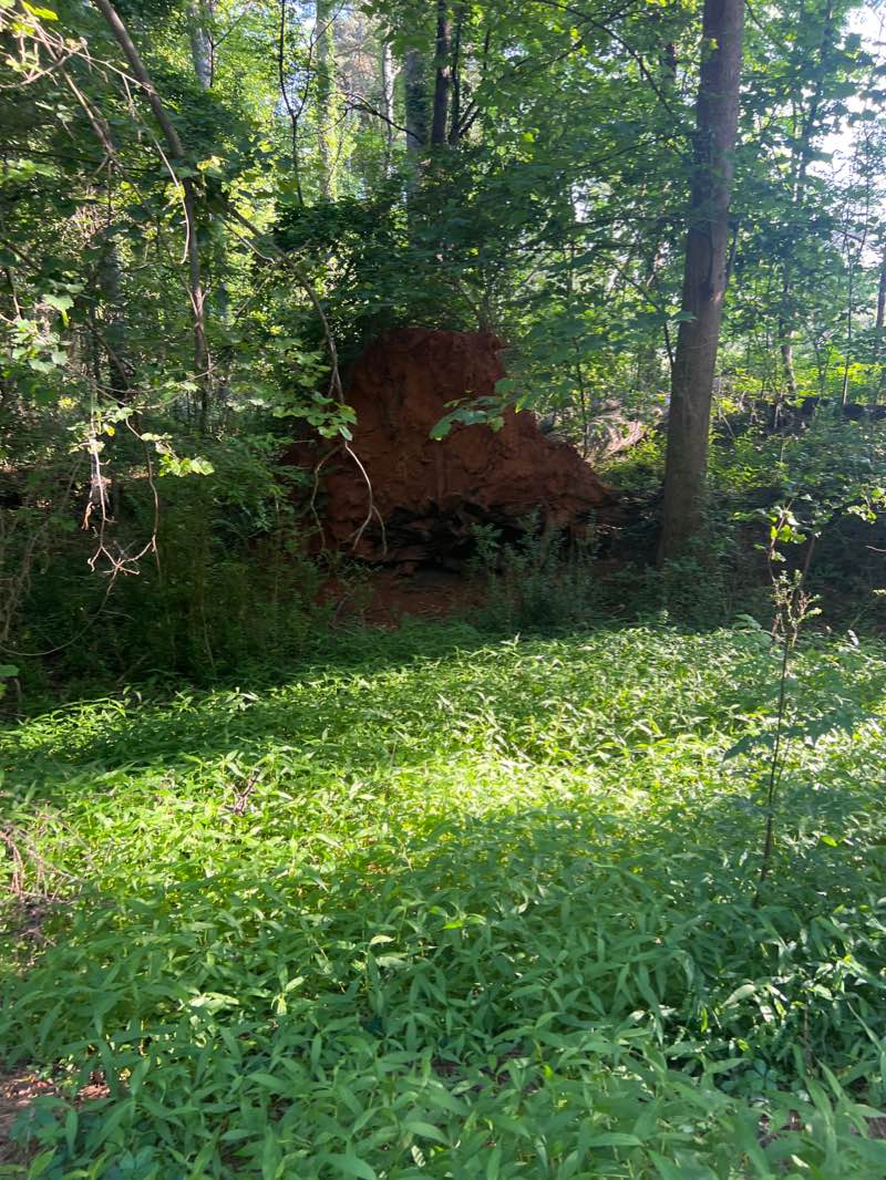 walking near me in East Meadow in winter