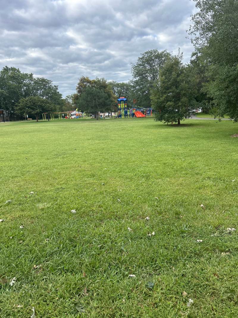 walking near me in Oak Meadows Park in autumn