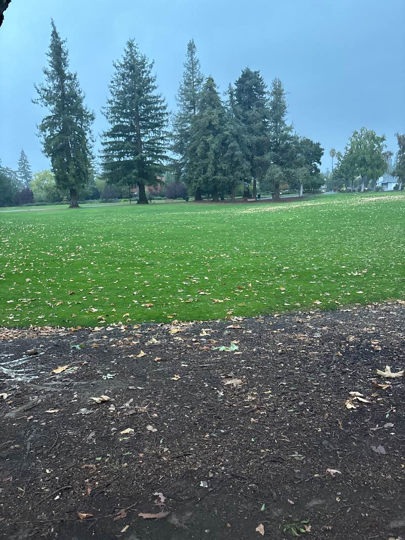 walking near me in Kevin Moran Park in autumn