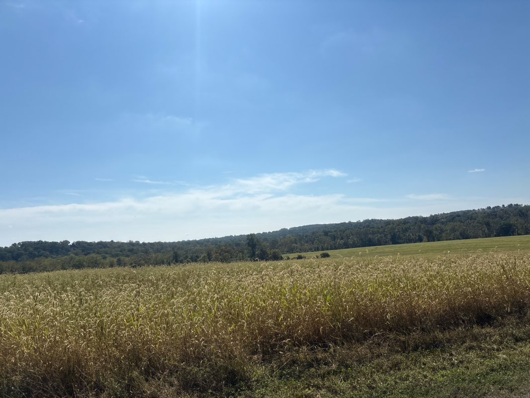 walking near me in Tyler State Park in autumn