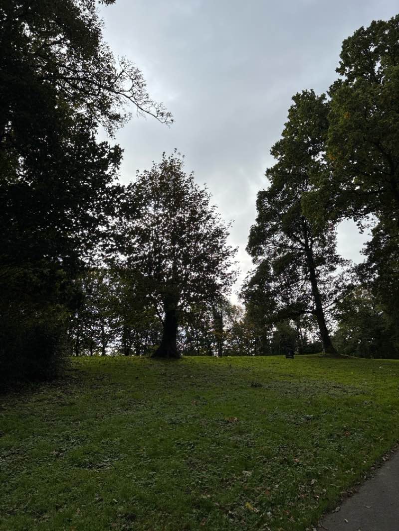 walking near me in Dixon Park Playing Fields in autumn