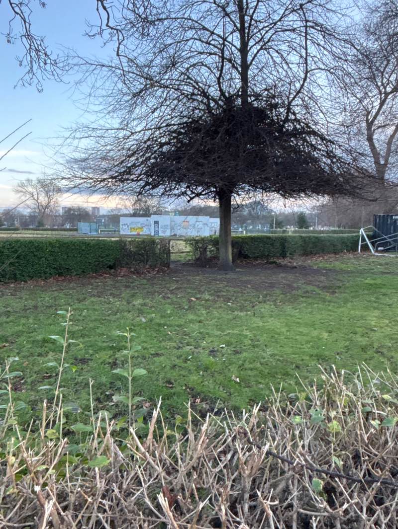walking near me in Leith Links West in winter