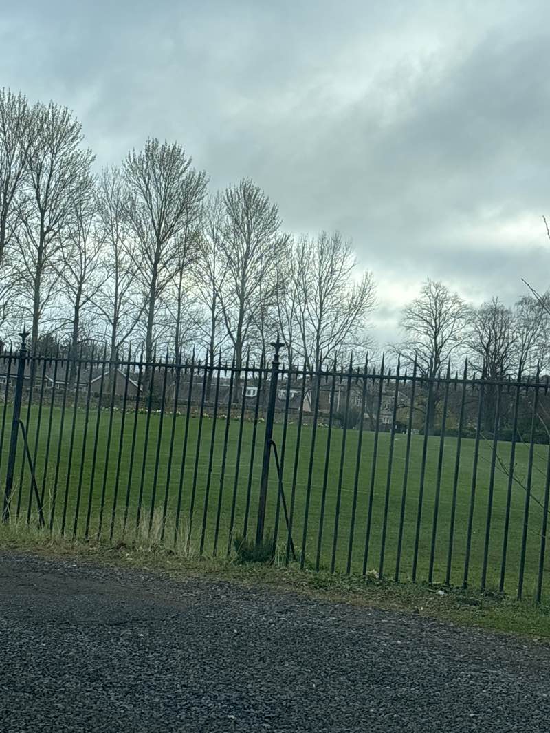 walking near me in Welfare Park in spring